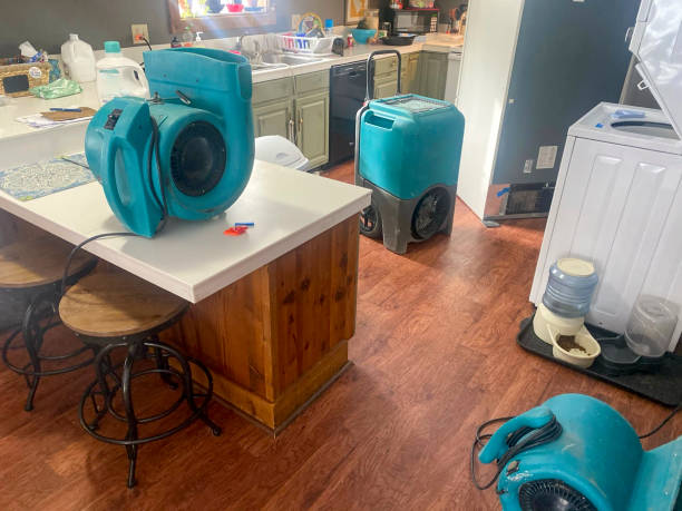 Carpet water damage restoration in Slayton, MN