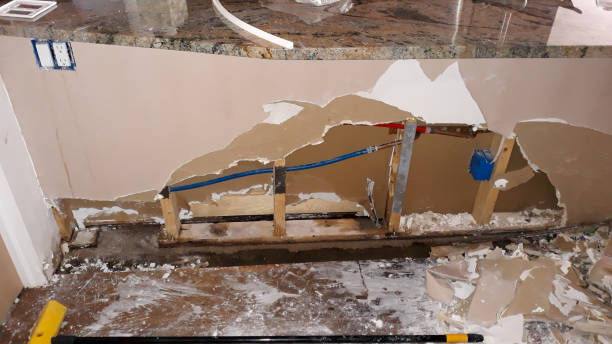 Best Professional water damage repair  in Slayton, MN
