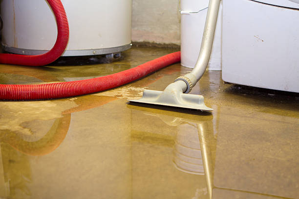 Reliable Slayton, MN Water damage restoration Solutions