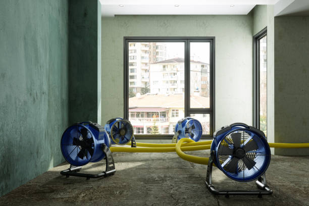 Best Carpet water damage restoration  in Slayton, MN